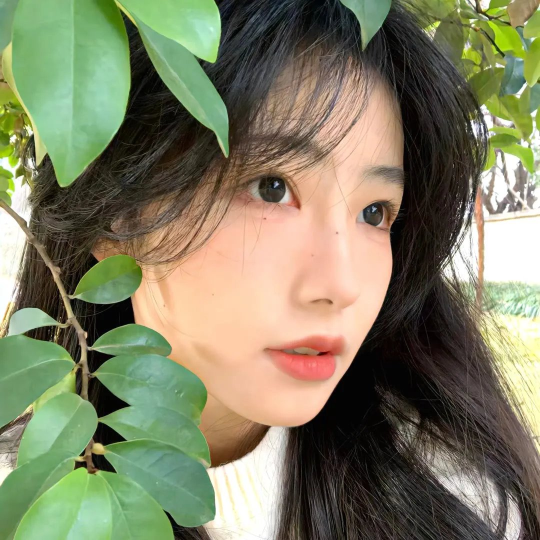 爱乱伴侣